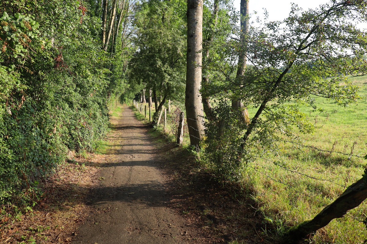 Chemin dans la vallée du Denacre