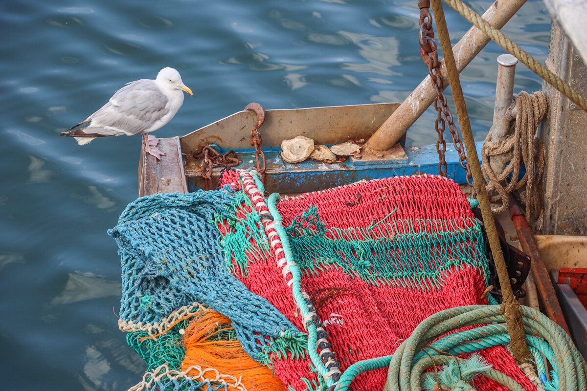Filets de pêche d'un bateau à Boulogne sur Mer