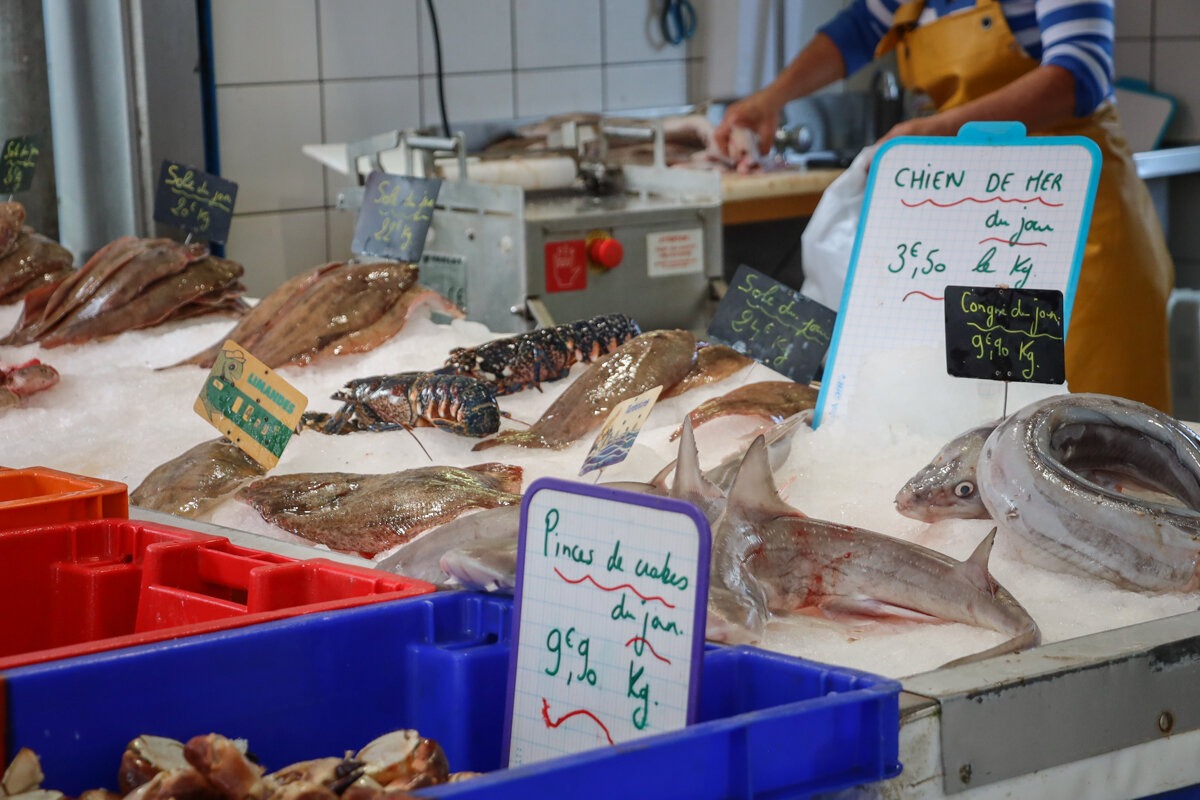 Pêche à Boulogne sur Mer
