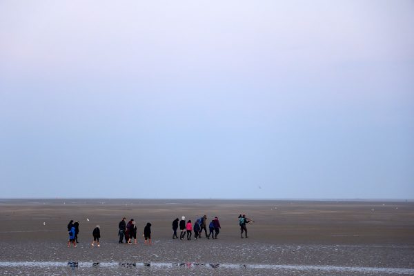Randonnée guidée dans la baie de Somme