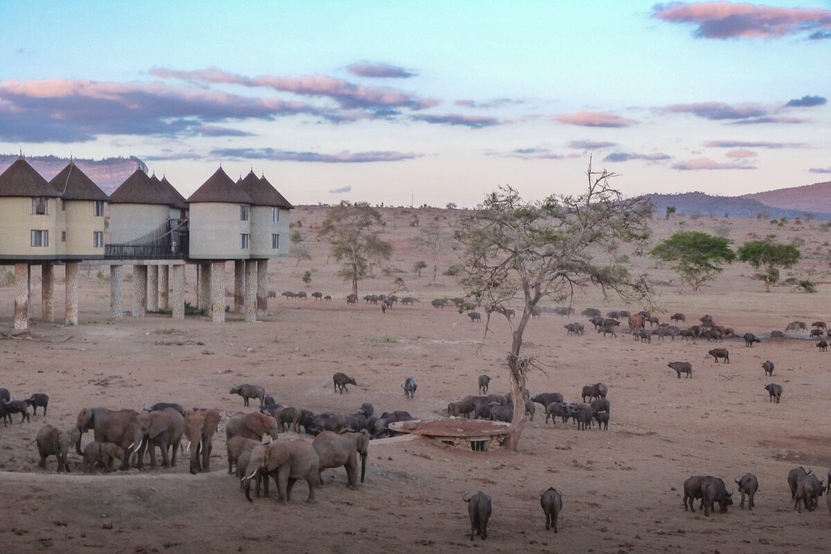 Lodge sur pilotis à Tsavo Ouest