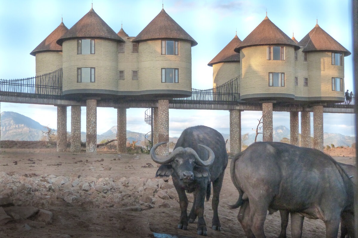 Observatoire dans un lodge à Tsavo Ouest